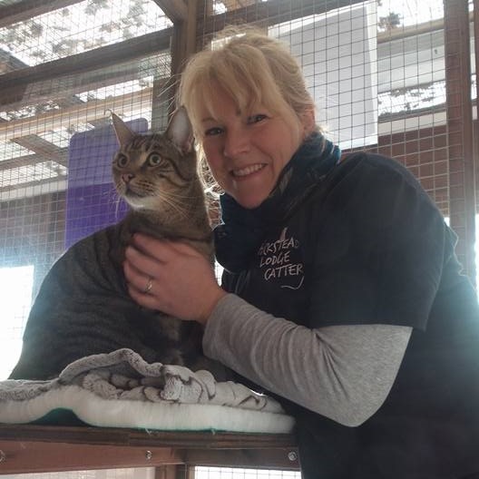 Helena and Tabby at Hickstead Lodge Cattery